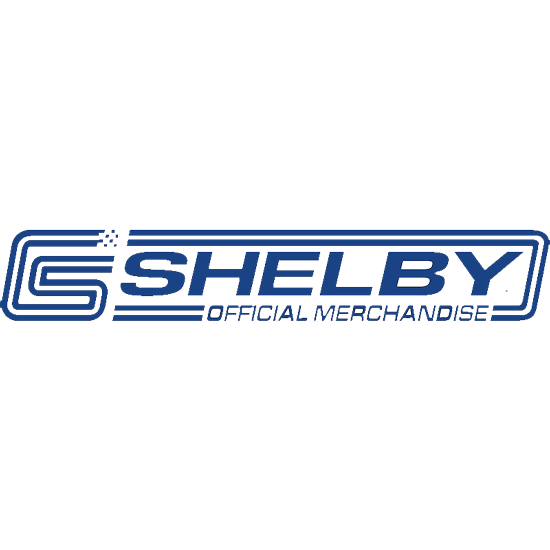 Shelby Interior Car Care Kit