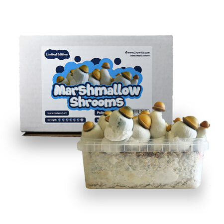 Marshmallow Shrooms All-in-one GrowKit (1200 CC)