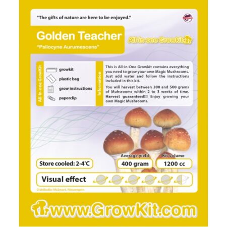 Golden Teacher All-in-one GrowKit (1200 CC)