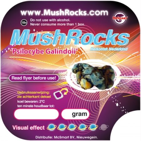 MushRocks (15 GRAM)